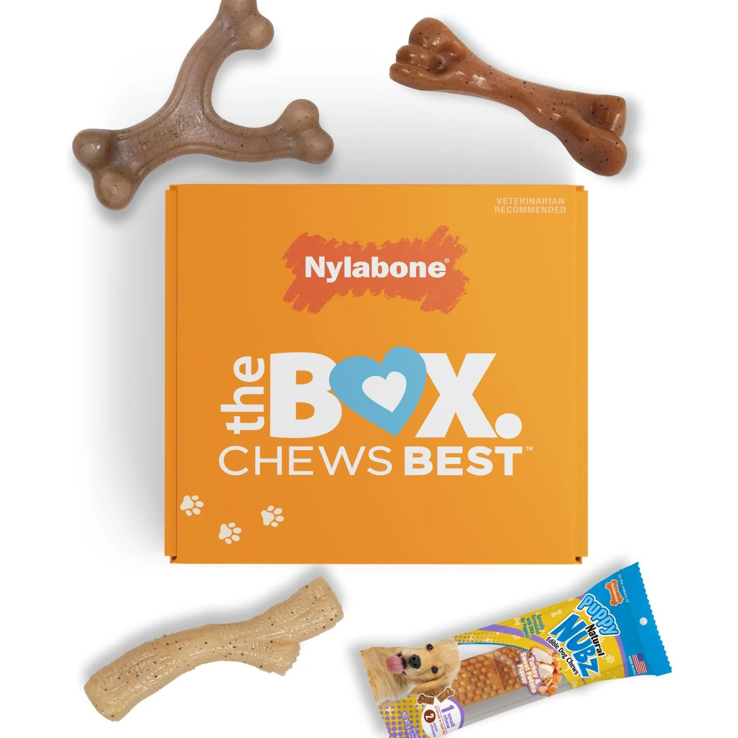 Nylabone The Box Chew Toy & Treat Gift Box 3 Nylabone The Box Chew Toy & Treat Gift Box