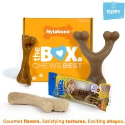 Nylabone The Box Chew Toy & Treat Gift Box 13 Nylabone The Box Chew Toy & Treat Gift Box -Pet Dog Toys 915502 PT2. AC SS1800 V1700001129
