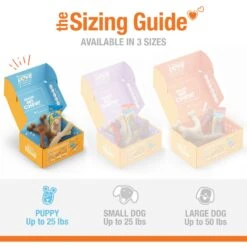 Nylabone The Box Chew Toy & Treat Gift Box 14 Nylabone The Box Chew Toy & Treat Gift Box -Pet Dog Toys 915502 PT3. AC SS1800 V1700515630