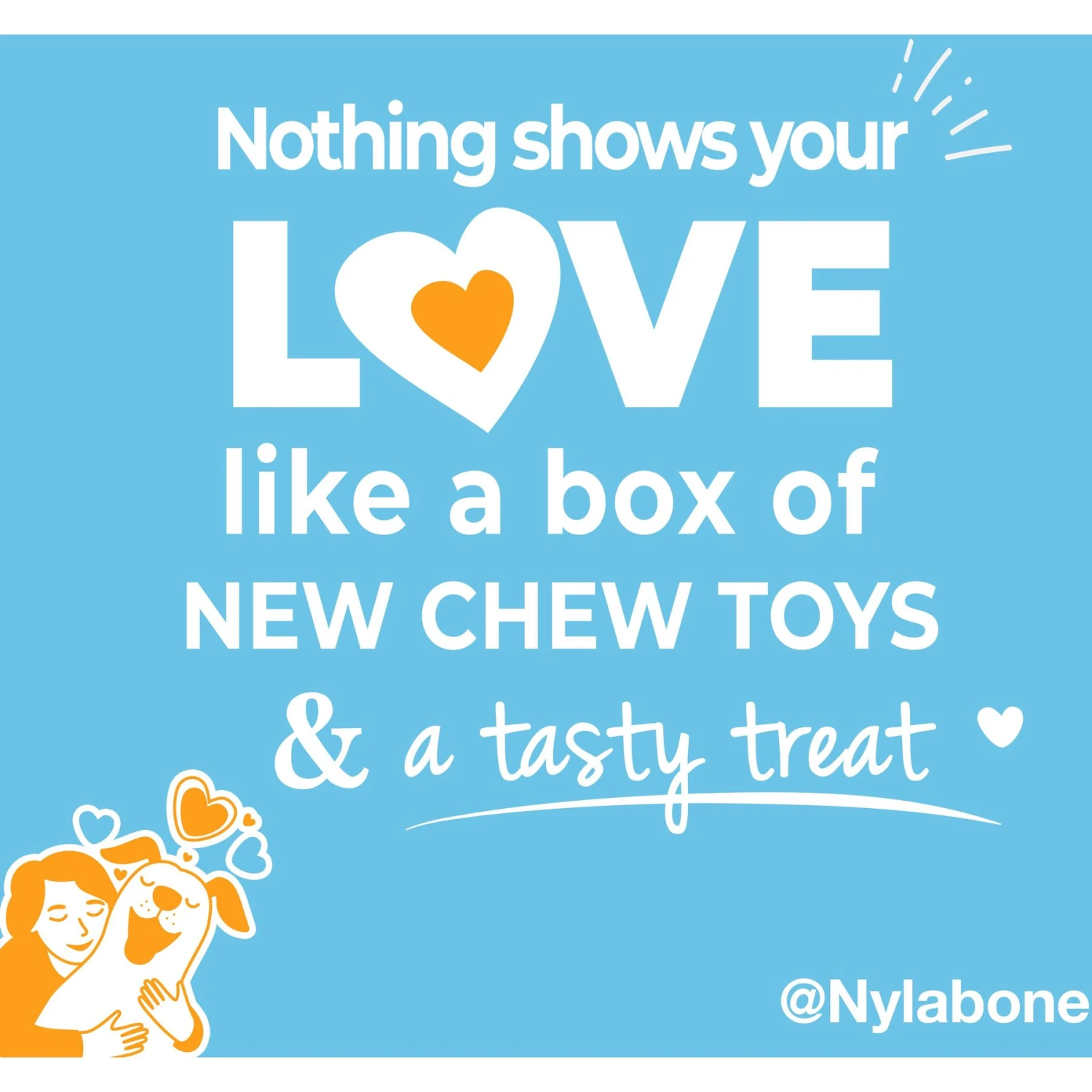 Nylabone The Box Chew Toy & Treat Gift Box 7 Nylabone The Box Chew Toy & Treat Gift Box - Image 5