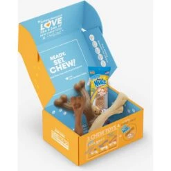 Nylabone The Box Chew Toy & Treat Gift Box 17 Nylabone The Box Chew Toy & Treat Gift Box -Pet Dog Toys 915502 PT6. AC SS1800 V1700169569