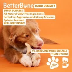 BetterBone Tough Beef Dog Toy, Natural 11 BetterBone Tough Beef Dog Toy, Natural -Pet Dog Toys 919166 PT2. AC SS1800 V1691768035