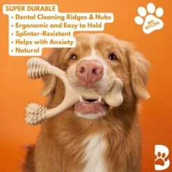 BetterBone Tough Beef Dog Toy, Natural 12 BetterBone Tough Beef Dog Toy, Natural -Pet Dog Toys 919166 PT3. AC SS1800 V1691775894