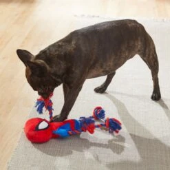 Marvel 's Captain America Plush With Rope Squeaky Dog Toy + 3 Items -Pet Dog Toys 929454 PT6. AC SS1800 V1690899555