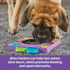 Brightkins DJ Doggo Puzzle Feeder Dog Toy -Pet Dog Toys 930054 PT3. AC SS1800 V1698766697