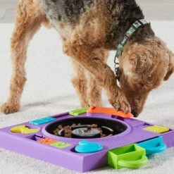 Brightkins DJ Doggo Puzzle Feeder Dog Toy -Pet Dog Toys 930054 PT4. AC SS1800 V1698765989