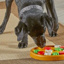 Brightkins Pizza Party! Treat Puzzle Dog Toy 12 Brightkins Pizza Party! Treat Puzzle Dog Toy -Pet Dog Toys 930086 PT3. AC SS1800 V1698765996