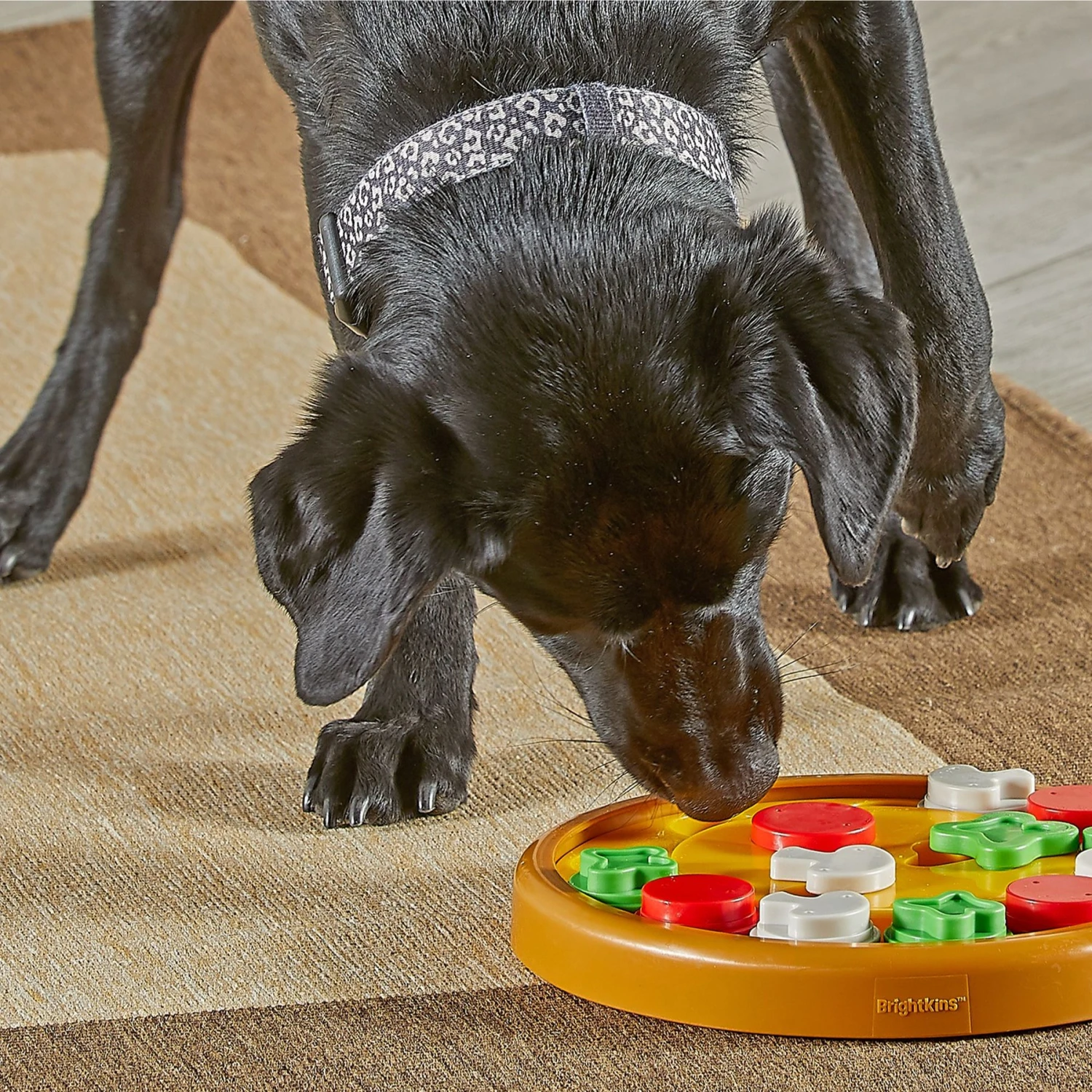Brightkins Pizza Party! Treat Puzzle Dog Toy 6 Brightkins Pizza Party! Treat Puzzle Dog Toy - Image 4