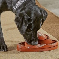 Brightkins Touchdown Time! Treat Puzzle Dog Toy -Pet Dog Toys 930118 PT3. AC SS1800 V1698766048