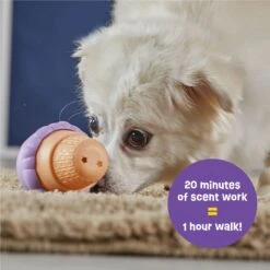 Brightkins Small Ice Cream Treat Dispenser Dog Toy -Pet Dog Toys 930134 PT2. AC SS1800 V1698765995