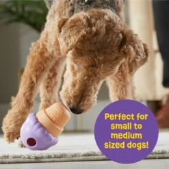 Brightkins Small Ice Cream Treat Dispenser Dog Toy -Pet Dog Toys 930134 PT3. AC SS1800 V1698766048
