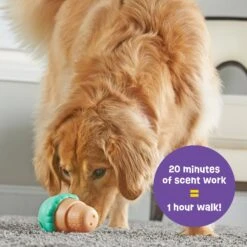 Brightkins Large Ice Cream Treat Dispenser Dog Toy 11 Brightkins Large Ice Cream Treat Dispenser Dog Toy -Pet Dog Toys 930150 PT2. AC SS1800 V1698765990