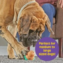 Brightkins Large Ice Cream Treat Dispenser Dog Toy 12 Brightkins Large Ice Cream Treat Dispenser Dog Toy -Pet Dog Toys 930150 PT3. AC SS1800 V1698766692