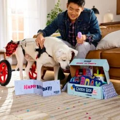 Goody Box Birthday Dog Toys & Treats & Pooch Creamery Peanut Butter Flavor Ice Cream Mix Dog Treat, 5.25-oz Cup 15 Goody Box Birthday Dog Toys & Treats & Pooch Creamery Peanut Butter Flavor Ice Cream Mix Dog Treat, 5.25-oz Cup -Pet Dog Toys 933310 PT4. AC SS1800 V1692303788