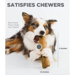 Petstages Dogwood Tough Dog Chew Toy & Nylabone Power Chew Textured Dog Chew Ring Toy Flavor Medley -Pet Dog Toys 933430 PT4. AC SS1800 V1692303299