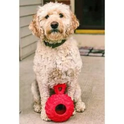 Jolly Pets Tuff Treader Dog Toy -Pet Dog Toys 94056 PT2. AC SS1800 V1629240720