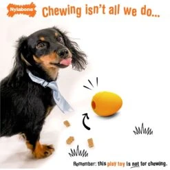 Pet Dog Toys -Pet Dog Toys 940662 PT1. AC SS1800 V1692280372