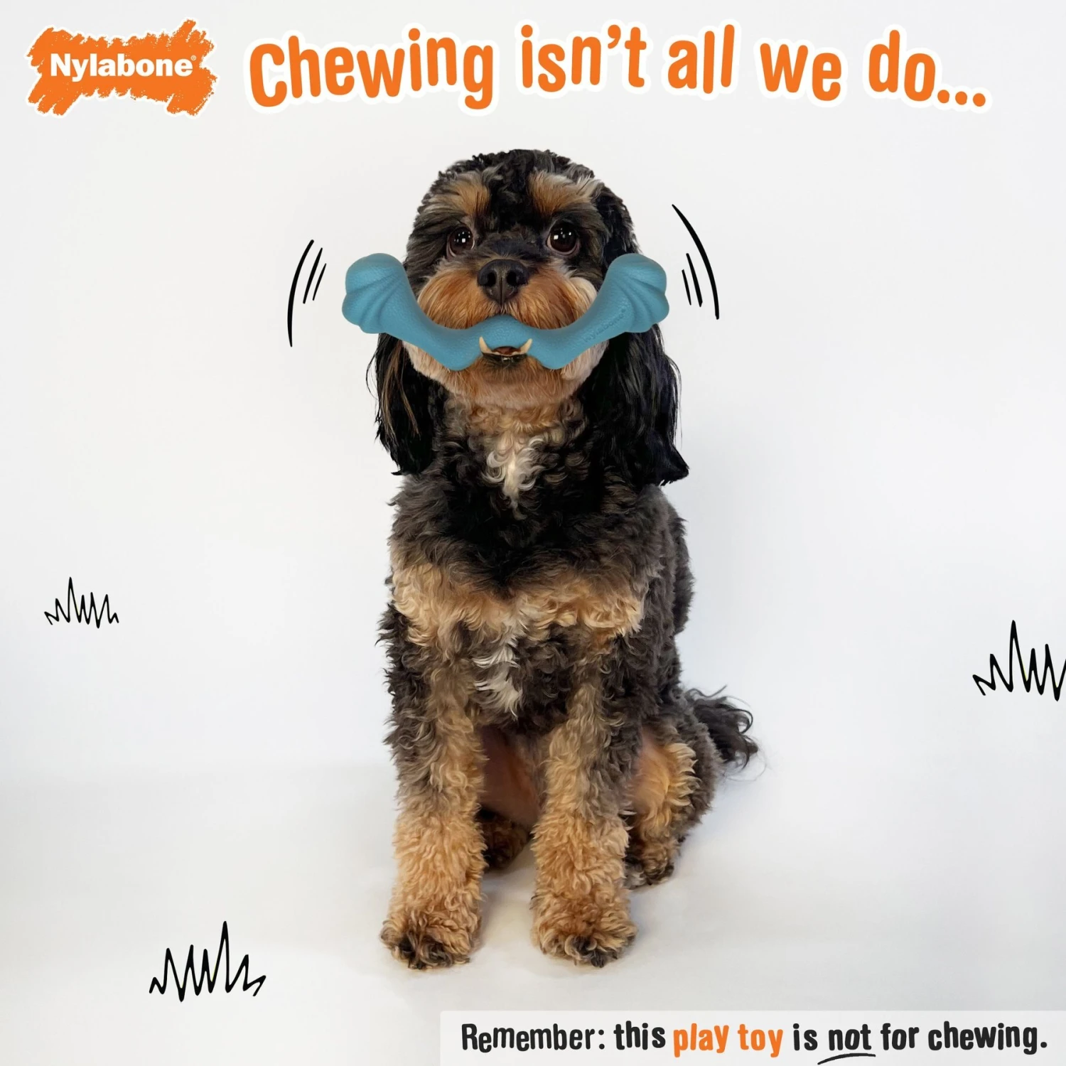 Nylabone Creative Play Springa Pull Dog Toy 5 Nylabone Creative Play Springa Pull Dog Toy - Image 3