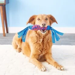 KONG Wubba Classic Dog Toy, Color Varies & KONG Tugga Wubba Dog Toy, Color Varies -Pet Dog Toys 947390 PT8. AC SS1800 V1693924204