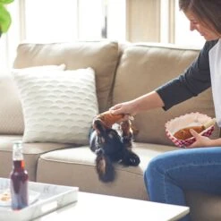 Frisco Corndog Interactive Plush Squeaky Dog Toy & Frisco Guacamole Hide & Seek Puzzle Plush Squeaky Dog Toy -Pet Dog Toys 962086 PT3. AC SS1800 V1694782979