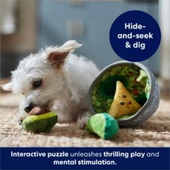 Frisco Corndog Interactive Plush Squeaky Dog Toy & Frisco Guacamole Hide & Seek Puzzle Plush Squeaky Dog Toy -Pet Dog Toys 962086 PT8. AC SS1800 V1694782977