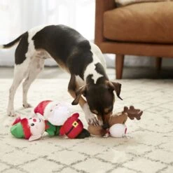 Frisco Holiday Santa's Helpers Plush Squeaky Dog Toy, 3 Count & Frisco Holiday Tree Thin Plush Squeaky Dog Toy -Pet Dog Toys 986222 PT4. AC SS1800 V1698258463