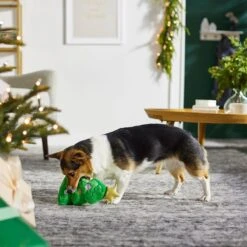 Frisco Holiday Santa's Helpers Plush Squeaky Dog Toy, 3 Count & Frisco Holiday Tree Thin Plush Squeaky Dog Toy -Pet Dog Toys 986222 PT8. AC SS1800 V1698257791