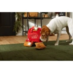 Frisco Holiday House Hide & Seek Puzzle Plush Squeaky Dog Toy & Frisco Holiday North Pole Mailbox Hide & Seek Puzzle Plush Squeaky Dog Toy -Pet Dog Toys 986286 PT8. AC SS1800 V1698258055