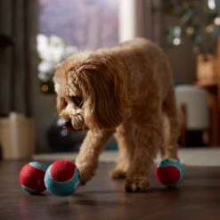 Frisco Holiday Ho Ho Ho Fetch Squeaky Tennis Ball Dog Toy & Frisco Holiday Arctic Friends Stuffing-Free Skinny Plush Squeaky Dog Toy 15 Frisco Holiday Ho Ho Ho Fetch Squeaky Tennis Ball Dog Toy & Frisco Holiday Arctic Friends Stuffing-Free Skinny Plush Squeaky Dog Toy -Pet Dog Toys 986310 PT4. AC SS1800 V1698257790