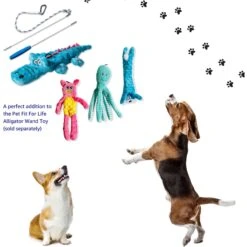 Pet Fit For Life Squeaky Plush Dog Toy For Alligator Wand, 3 Count 12 Pet Fit For Life Squeaky Plush Dog Toy For Alligator Wand, 3 Count -Pet Dog Toys 987270 PT2. AC SS1800 V1699648335
